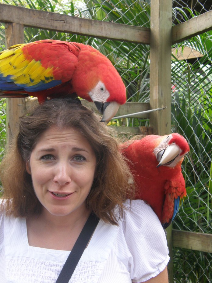 Ouch!  These talons are no joke.